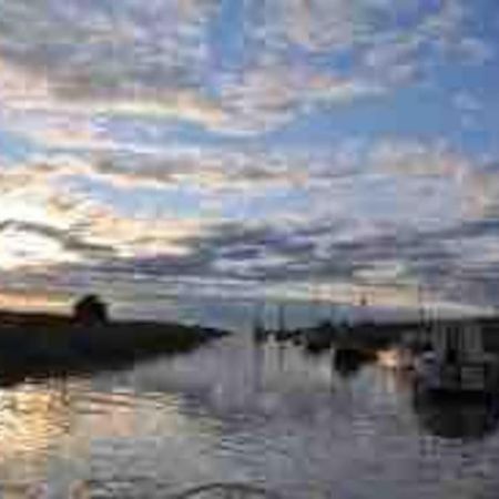English Beach And Countryside Saltfleet Exterior foto